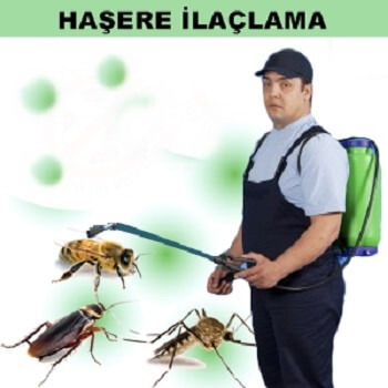 Karakoyunlu Böcek İlaçlama